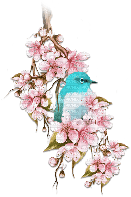 soave deco flowers branch bird spring vintage - PNG gratuit