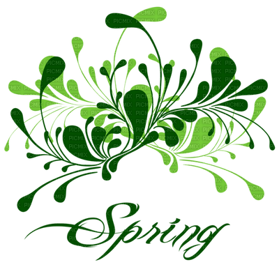 Kaz_Creations Flowers Flower Branch Text Spring - безплатен png