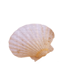 Shells katrin - δωρεάν png