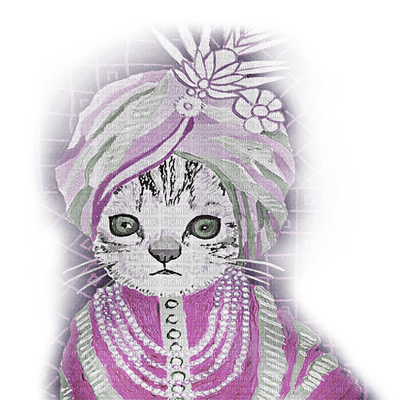 chat cat - 免费PNG