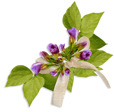 deco-flower-purple - nemokama png