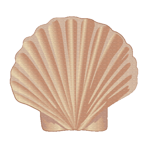 Shell Clam - Бесплатный анимированный гифка