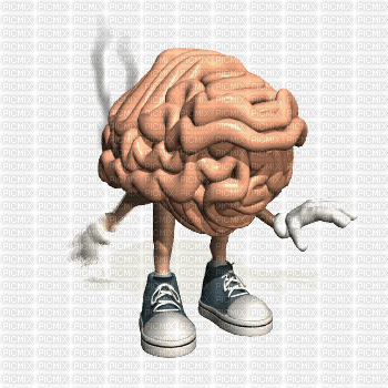 cerveau - Gratis animerad GIF