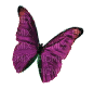 Butterfly - GIF animasi gratis