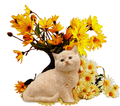 dolceluna spring cat vintage deco - ücretsiz png