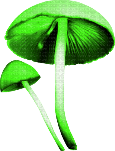 Mushrooms.Green - ücretsiz png