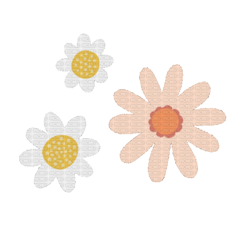 Flower - 無料のアニメーション GIF