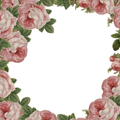 loly33 frame fleur rose - PNG gratuit