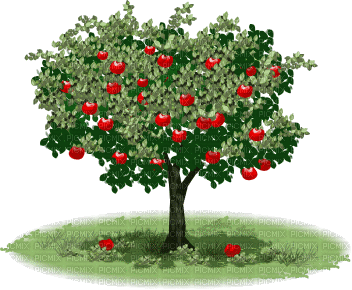 Animated Apple Tree, tree , apple , garden , nature , spring , animated , gif , bird , animation , grass , yard , home - PicMix