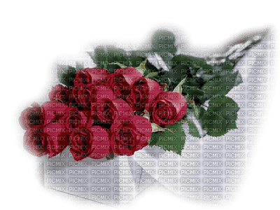 Róże bukiet 5 - gratis png