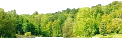 Wald - Δωρεάν κινούμενο GIF