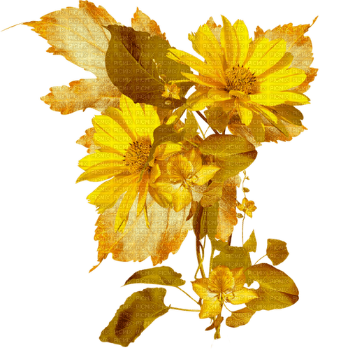 Autumn.Yellow.Flowers.Fleurs.Victoriabea - Free PNG