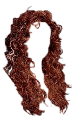 cheveux 6 - бесплатно png
