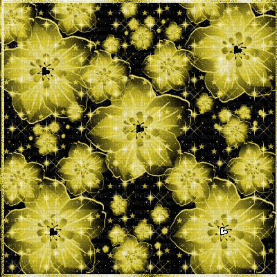 Flowers-&-Stars-Combined-BG-ESME4EVA2021 - GIF animé gratuit