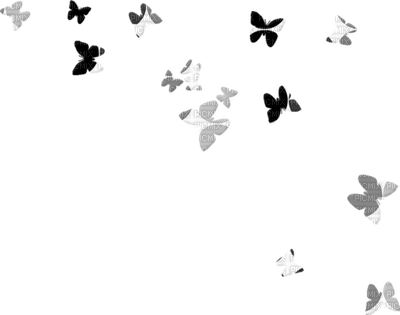 papillons - zadarmo png