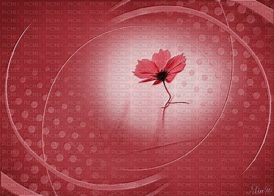 bg-röd-blommor - nemokama png