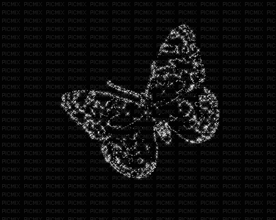 farfalla gif - GIF animado gratis