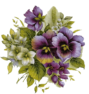 pansy flowers bp - Δωρεάν κινούμενο GIF