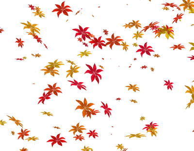 Folhas de Outono - Free PNG