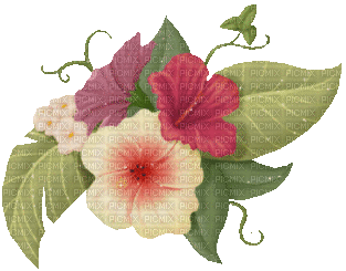 flowers, purple, GIF, basket,Pelageya - Δωρεάν κινούμενο GIF