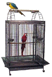birdcage bp - GIF animé gratuit