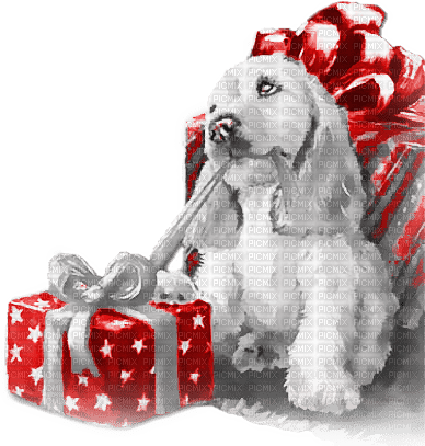 soave christmas winter dog animals deco box - 無料png