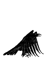 ANIMADO - Darmowy animowany GIF