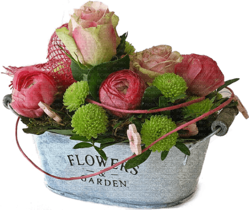 Flores - kostenlos png