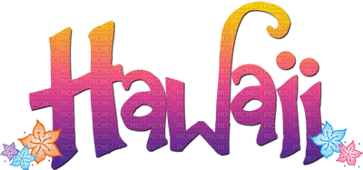 LOLY33 TEXTE  HAWAII - 免费PNG