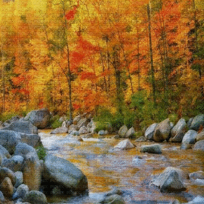river forest wald fluss paysage landscape flux  forêt  autumn automne herbst fond background hintergrund     gif anime animated animation - 免费动画 GIF