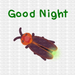 pikaole good night firefly - Free PNG