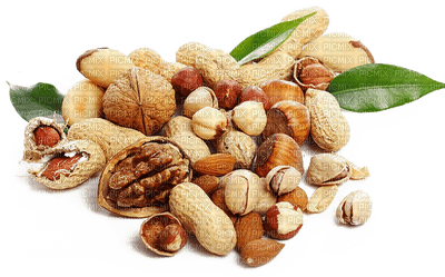 nuts bp - png gratis