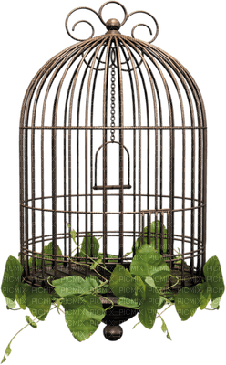 cage, sunshine3 - 免费PNG