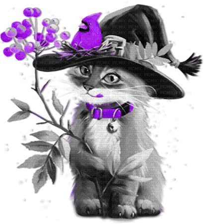 soave cat autumn halloween animals leaves deco - zadarmo png