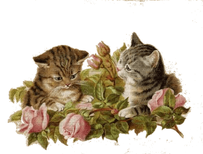Vintage Cats - Free PNG
