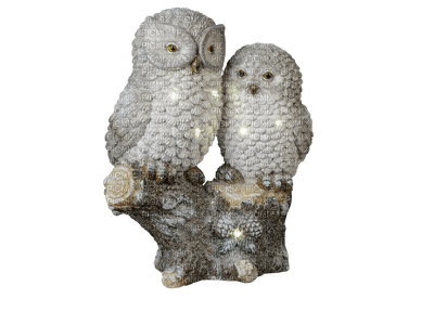 white owl hibou blanc - 無料png