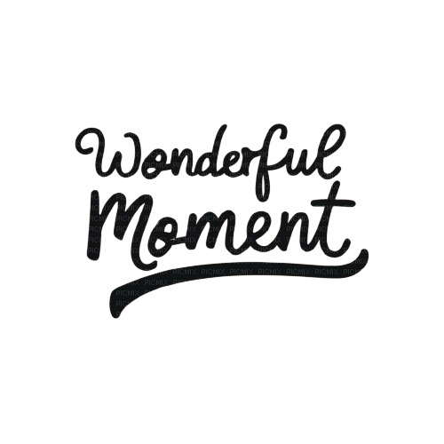 wonderful moment text - PNG gratuit