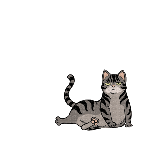Cat - Gratis animerad GIF