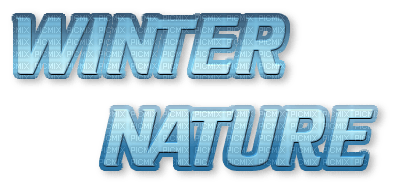 Winter Nature Text - Bogusia - ücretsiz png