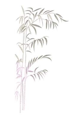 Plants.plante.Deco.Victoriabea - ingyenes png