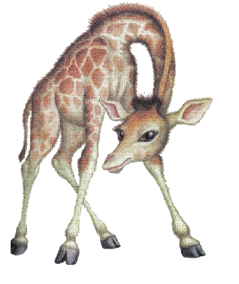 giraffe - GIF animado grátis