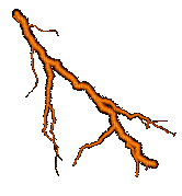 Thunder & Lightning - Jitter.Bug.Girl - Zdarma animovaný GIF