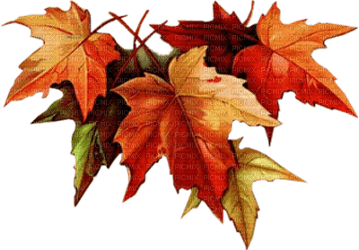 autumn - ücretsiz png