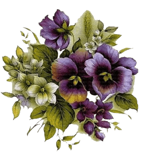 Violettes  Miriella - PNG gratuit