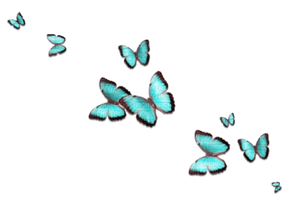 soave deco butterfly teal - gratis png