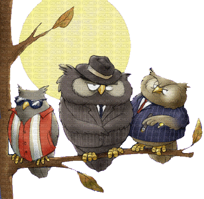 Kaz_Creations Birds Bird Owls Owl - GIF animado gratis