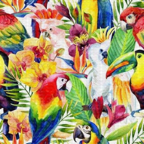 Tropic Background - zdarma png