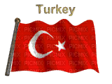TÜRKİYEM - GIF animado gratis