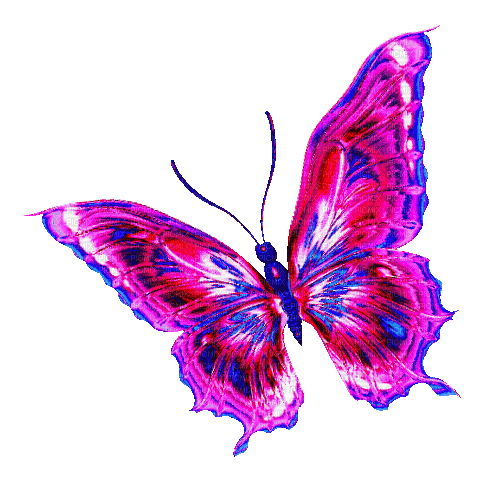 Butterfly.Red.Pink.Blue - By KittyKatLuv65 - GIF animé gratuit