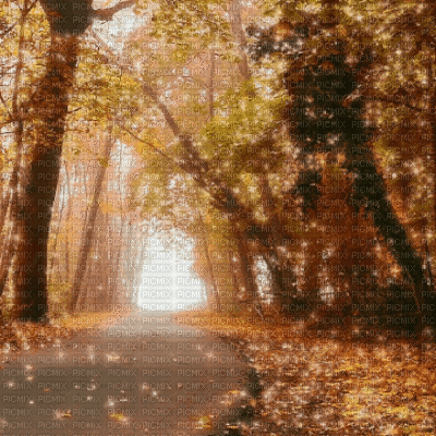 Autumn Forest - Безплатен анимиран GIF